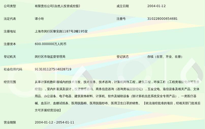上海輝業企業發展與上海信息技術咨詢服務的核心實力探究