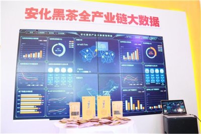 高馬二溪亮相全國“雙新雙創”博覽會 大數據賦能國禮茶，探索金融信息服務新路徑